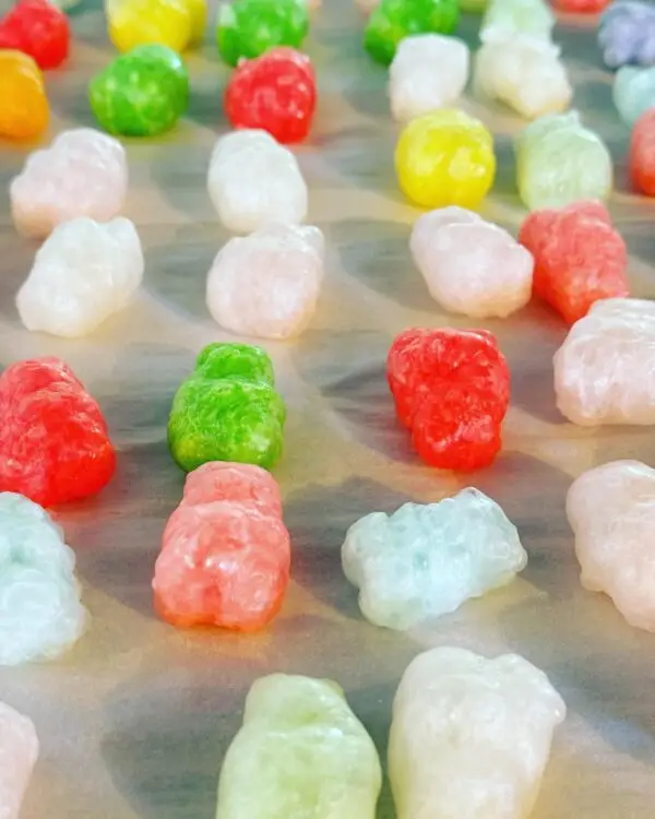 freeze dried candy gummy bears