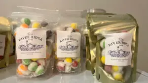 Sample of freeze dried candy